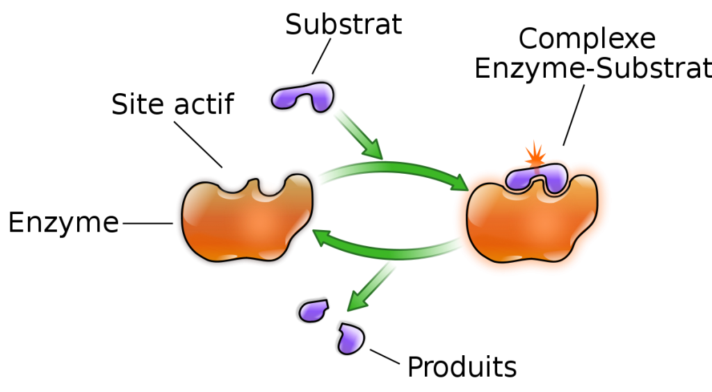 serrure a code castorama